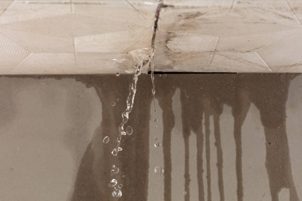 Professional Structural Drying technician working in Weehawken, NJ